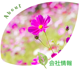 会社情報
